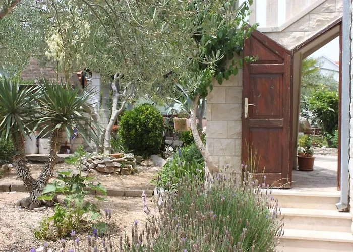 Oasis Διαμέρισμα *