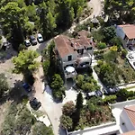 Oasis
