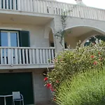 Oasis *
