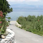 Oasis *